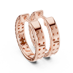 Parker Diamond Earrings
